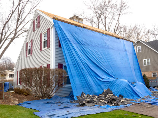 Best Basement Cleanout  in Manton, MI