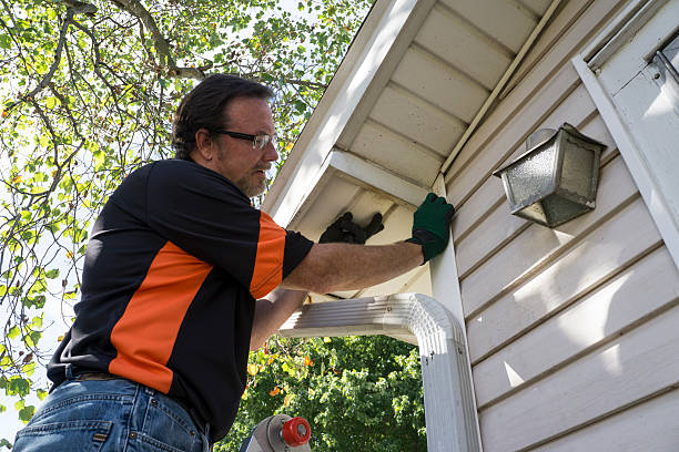 Best Moving and Downsizing Cleanouts  in Manton, MI
